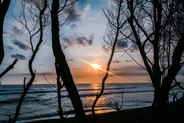 Pantai Goa Cemara Bantul Yogyakarta